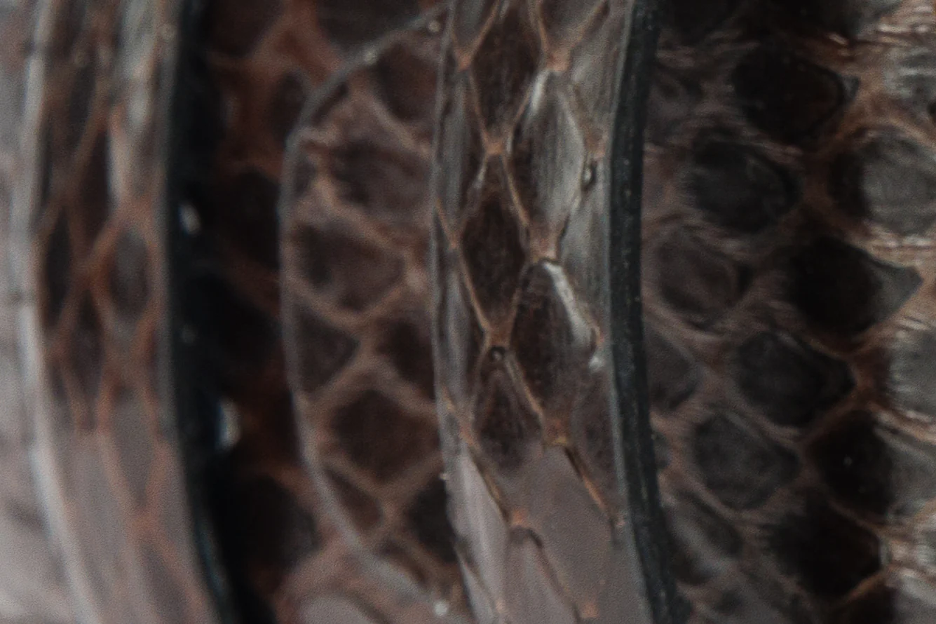 The Boss Brown python Sneak Leather Leather Belt - Image 9